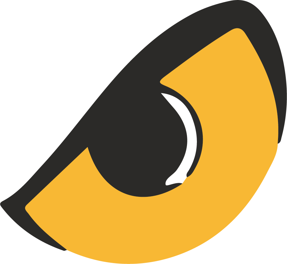 Falcon Eye Solutions