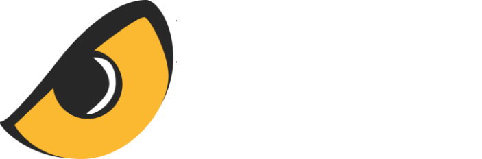 Falcon Eye Solutions